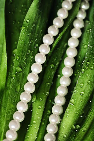 Pearls in exotic green leaves, luxury jewellery closeup