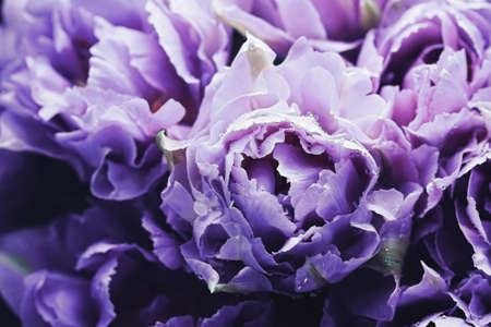 Beautiful flowers as spring holiday background and floral flatlay conceptの写真素材