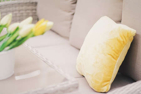 Outdoor rattan garden furniture, home decor and patio decorationの写真素材