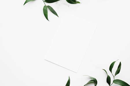 Blank white card, green leaves on white background as botanical frame flatlay, wedding invitation and holiday branding, flat lay designの写真素材