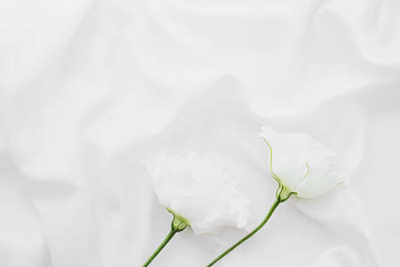 White rose flowers on silk fabric as bridal flatlay background, wedding invitation and holiday branding, flat lay designの写真素材