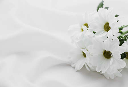 White daisy flowers on silk fabric as bridal flatlay background, wedding invitation and holiday branding, flat lay designの写真素材