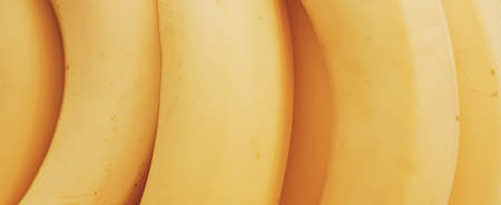 Fresh ripe bananas as healthy food, organic fruits and dietの写真素材