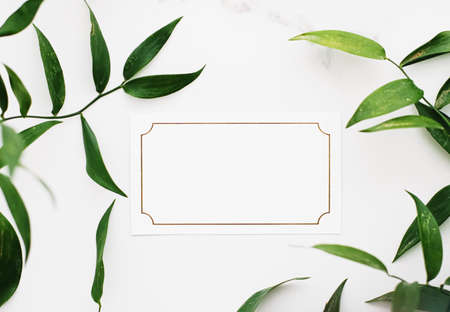 Blank white and gold card, green leaves on white background as botanical frame flatlay, wedding invitation and branding, flat lay designの写真素材