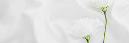 White rose flowers on silk fabric as bridal flatlay background, wedding invitation and holiday branding, flat lay designの写真素材