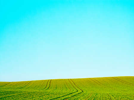 Green field and blue sky, beautiful meadow as nature and environmental backgroundの写真素材