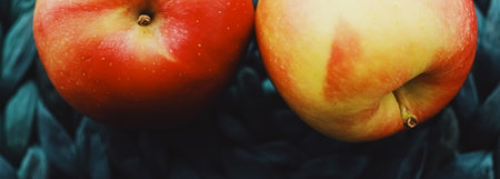 Two fresh ripe small apples, fruits and organic food