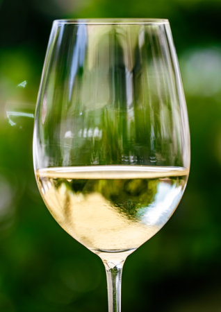 White wine in luxury restaurant on summer garden terrace, wine tasting experience at winery in the...