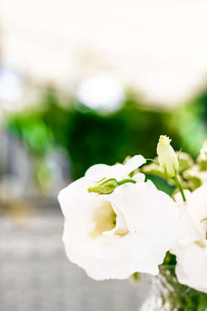 Wedding decoration, table decor and floral beauty, bouquet of white roses in luxury restaurant,...
