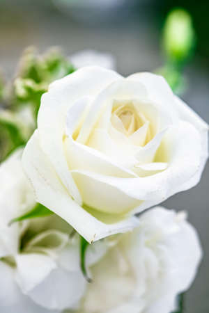 Wedding decoration, table decor and floral beauty, bouquet of white roses in luxury restaurant, beautiful flowers from summer gardenの写真素材