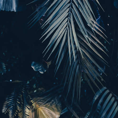 Tropical leaves as nature and environmental background, botanical garden and floral backdrop, plant...