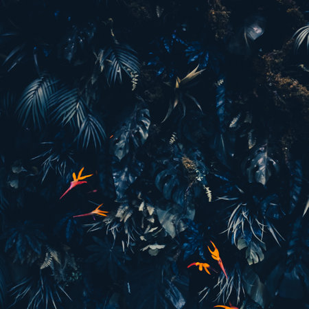 Tropical leaves as nature and environmental background, botanical garden and floral backdrop, plant growth and landscape designの写真素材