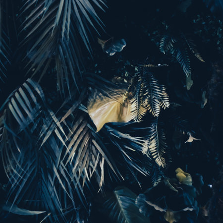 Tropical leaves as nature and environmental background, botanical garden and floral backdrop, plant growth and landscape designの写真素材