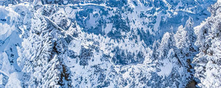 Winter wonderland and Christmas landscape. Snowy forest, trees covered with snow as holiday...