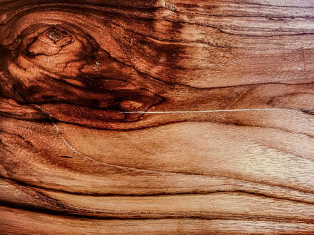 Wood texture background, natural construction material and interior design concept