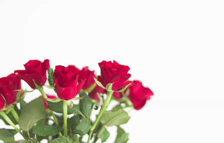 Tender bouquet of red roses, floral gift and beautiful flowersの写真素材