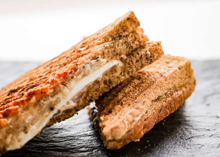 Food and snack, grilled cheese sandwiches, close-up