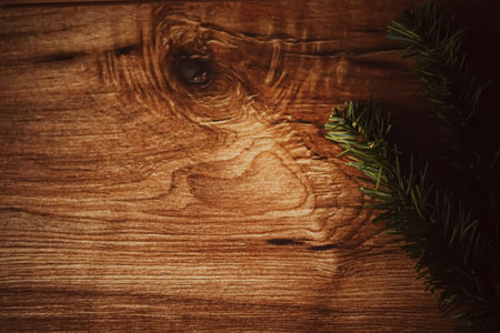Antique wood and fir tree branch, Christmas and holiday background.の写真素材