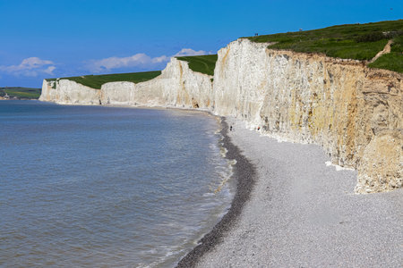Seven Sisters white chalk cliffs rising above a pebble beach and the sea on the East Sussex...