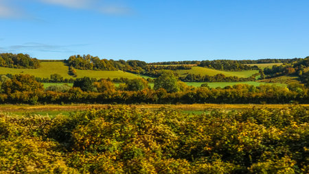 Rural landscape showing gently sloping hills covered with vibrant green grass and clusters of trees in early autumnの写真素材