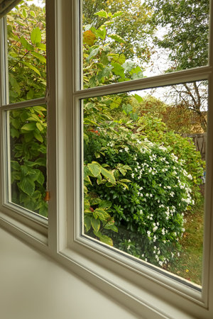 Window looking out at a flourishing garden filled with green foliage and white flowers, creating a...