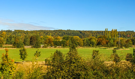 Wide angle fall landscape with dense colorful forest bordering an open meadow under a bright clear blue sky, serene and vibrantの写真素材