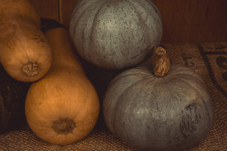 Pumpkins and squash displaying a fall harvest seasonal theme arranged on a textured burlap surface, perfect for food concepts. Cotswolds, Englandの写真素材