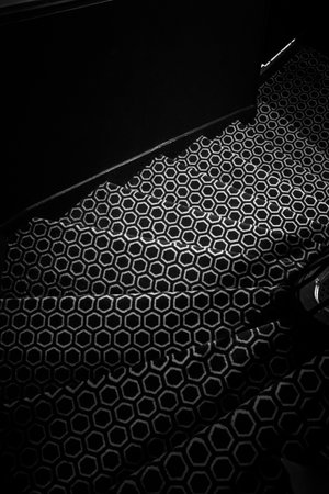 Abstract black and white carpet with hexagonal pattern covering stairs in a hotel or building, creating a graphic background. Paris, Franceの写真素材
