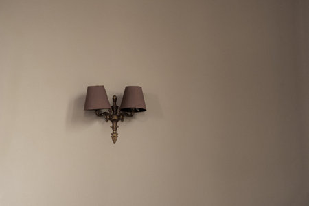 Antique wall sconce decoratively mounted on a light colored seamless wall, casting subtle shadows...
