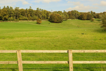 Green grassy pasture with a rustic wooden fence in the foreground, stretching towards a distant tree line and cloudy skyの写真素材