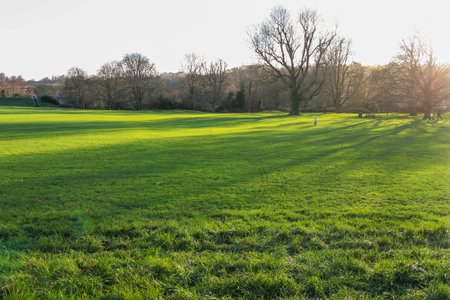 Expansive green grass field in Hemel Hempstead, England, with bare trees casting long shadows under...