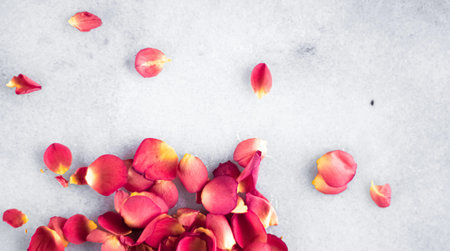 Rose petals scattering on a clean white marble background, creating a romantic and gentle floral texture for designs