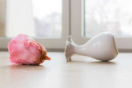 Fallen Roseの写真素材