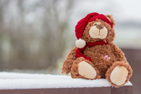 Winter Teddyの写真素材