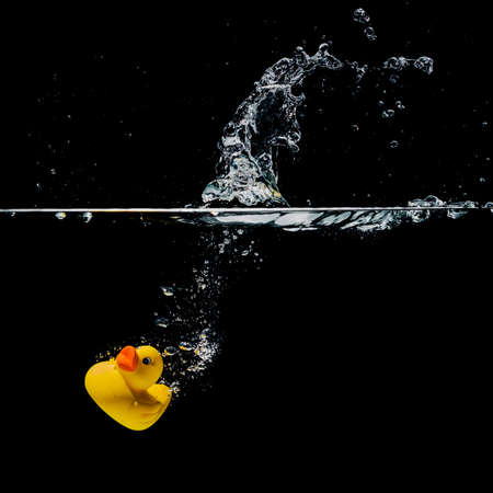 Duck under waterの写真素材