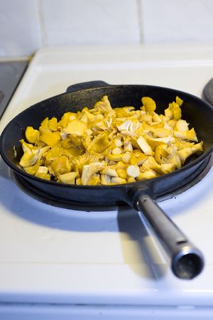 Chopped mushrooms being fried on a cookerの写真素材