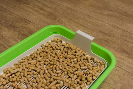 Cat's plastic toilet. Tray for pets. Wood filler. Horizontal rectangular photo.の写真素材