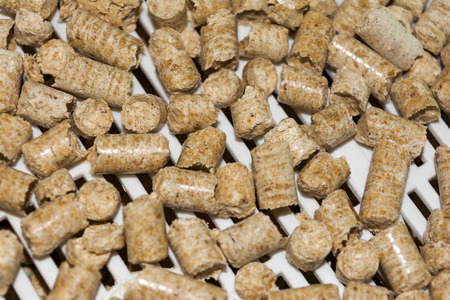 Wood filler for cat litter. Close-up. Rectangular horizontal photo.