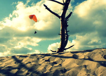 paraglidingの写真素材