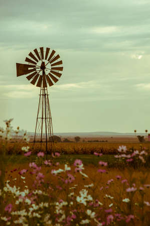 Kosmosse and Windmillの写真素材