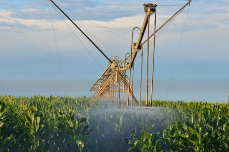Farm land being irrigated with sprayerの写真素材