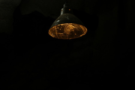 Black Metal Shade Ceiling Light With Vintage Lamp Holderの写真素材