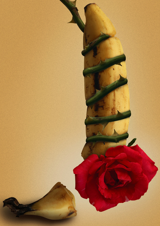 Banana and Roseの写真素材
