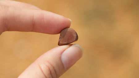 Female Hand Holding Tiny Rockの写真素材