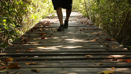 Man Walking on Wooden Path in Forest - Shadyの写真素材
