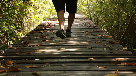 Man Walking on Wooden Path in Forestの写真素材