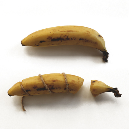 Tied and Broken Real Banana with Intact One on White Backgroundの写真素材