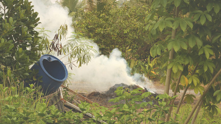 Smoke from Burning Grass in Green Garden - Vietnam Countrysideの写真素材