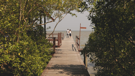 Wooden Dock in Forest Leading to the Sea - with Leaf Frameの写真素材