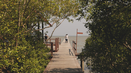 Wooden Dock in Forest Leading to the Sea - with Frame of Leavesの写真素材